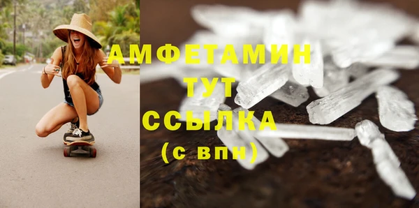 мет Алексин