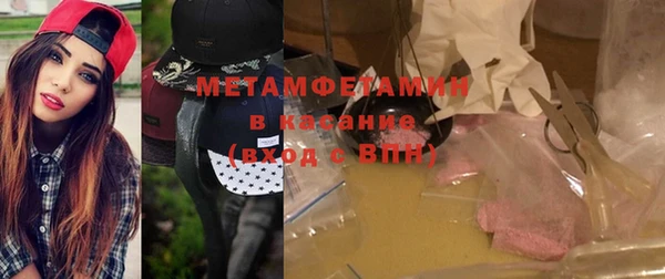 мет Алексин