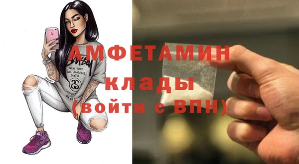 мет Алексин