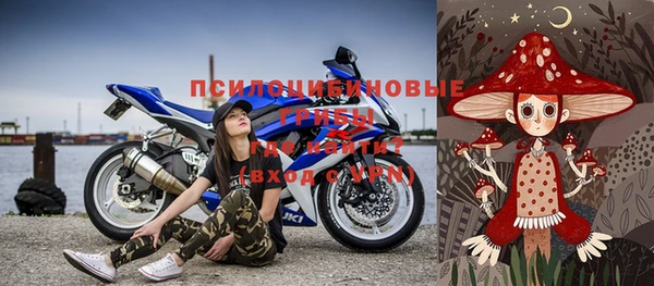 мет Алексин