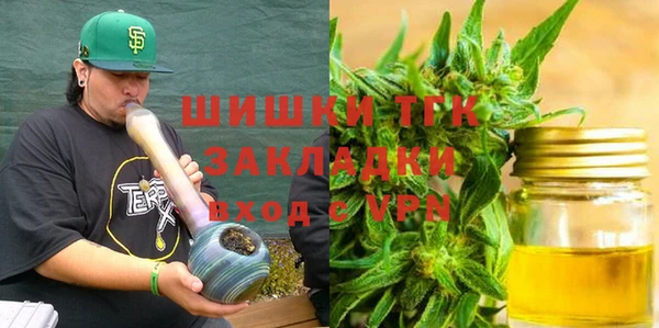 хмурый Алзамай