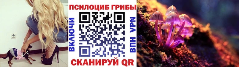Галлюциногенные грибы GOLDEN TEACHER  купить  цена  hydra ТОР  Медынь 